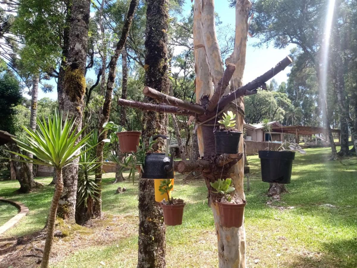 Quartos Recanto Da Natureza Interior Canela Exterior foto